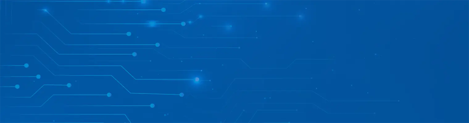 Wired Network Security