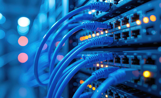 Wired-Network-Thumb.jpg